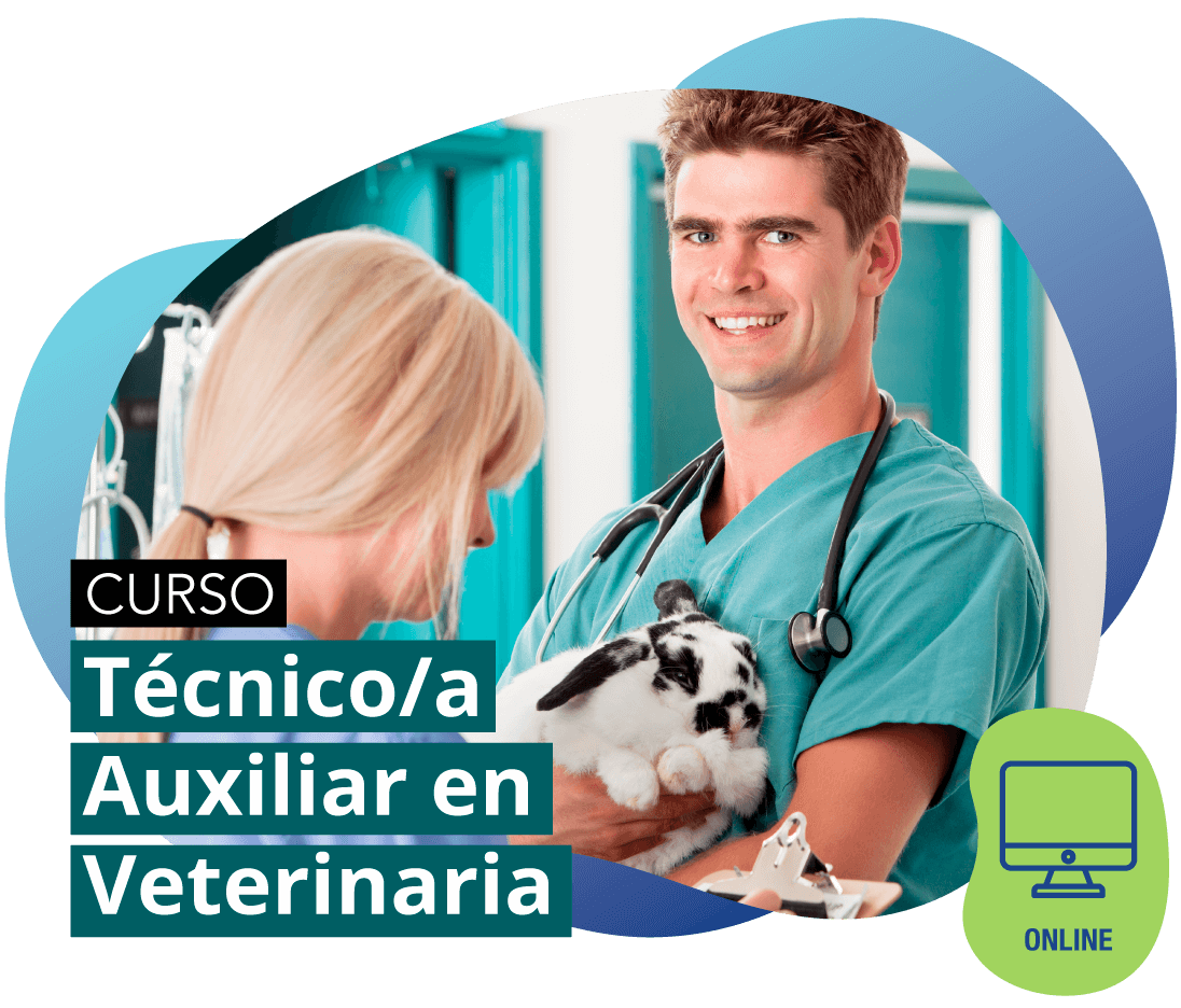 CURSO Técnico/a Auxiliar en Veterinaria ONLINE