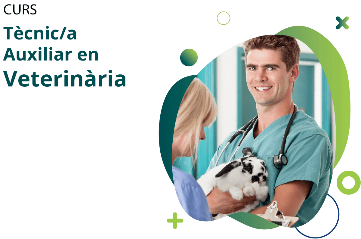 CURS Tècnic/a Auxiliar en Veterinària
